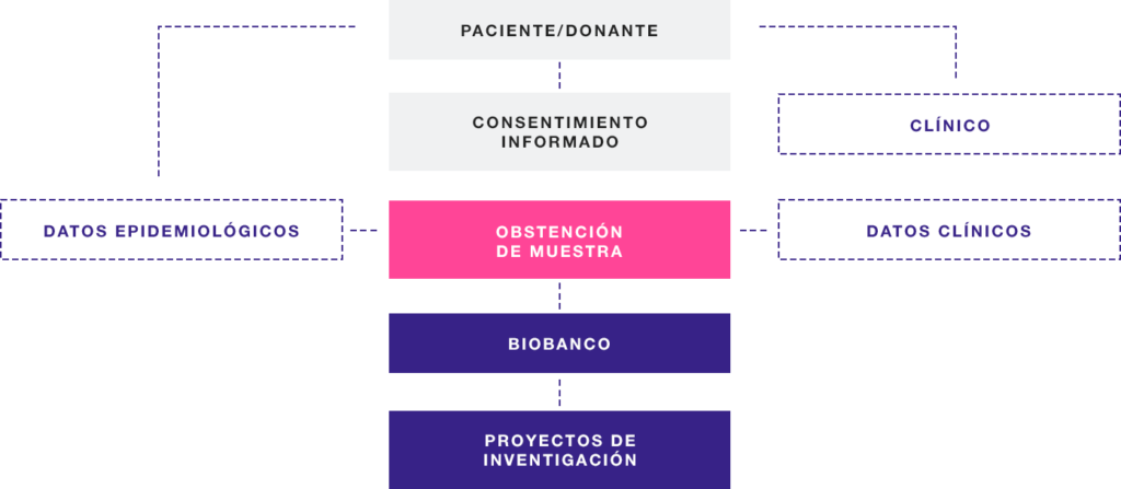 Proceso donación de muestras